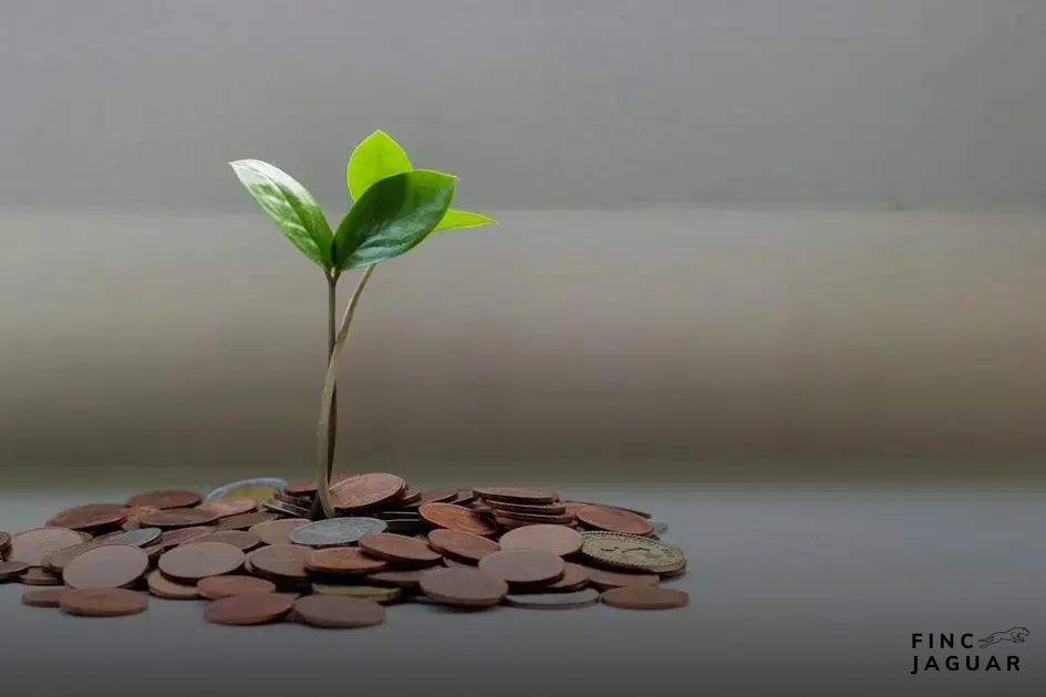 Seek Professional Financial Advice